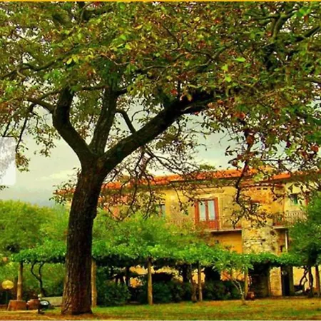 Bed & Breakfast Pietrantica
